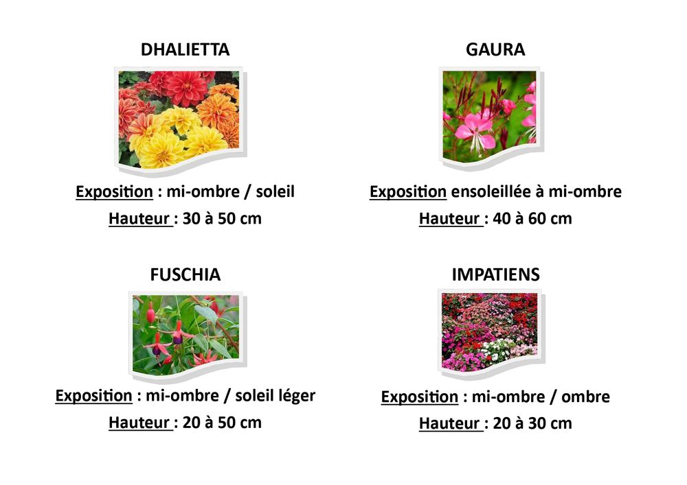 Liste de fleurs