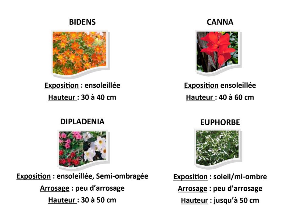 Liste de fleurs