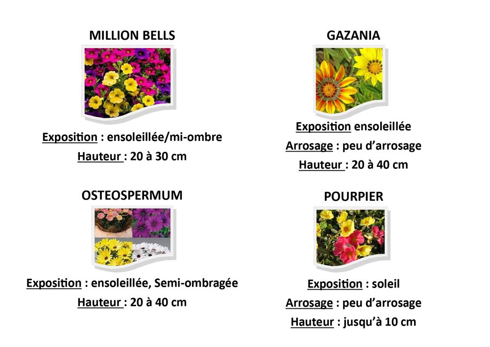 Liste de fleurs