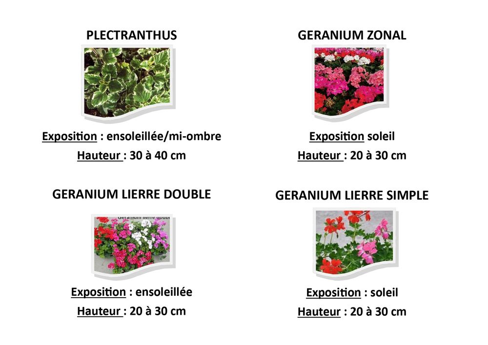 Liste de fleurs